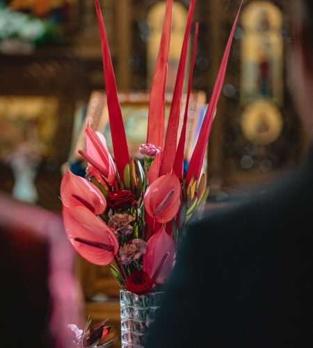 af3d0765-8249-4ff7-bdb3-fd14a33af020